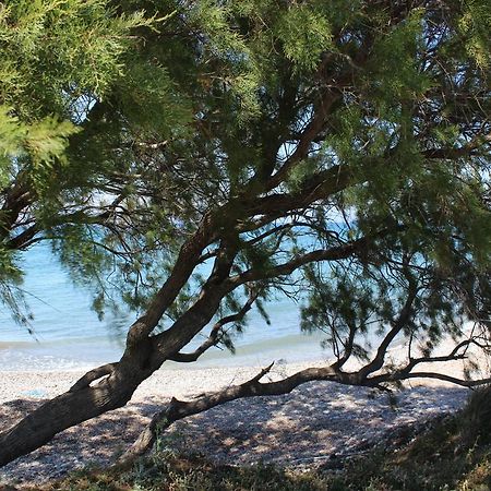 Corellia Asterias Beach Hotel Theológos 外观 照片